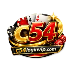 Hình ảnh minh họa các điều khoản chung và trách nhiệm người dùng của vin99 apk