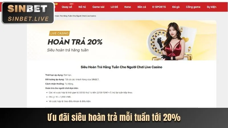 Tổng quan về các chương trình khuyến mãi của Vin99 APK